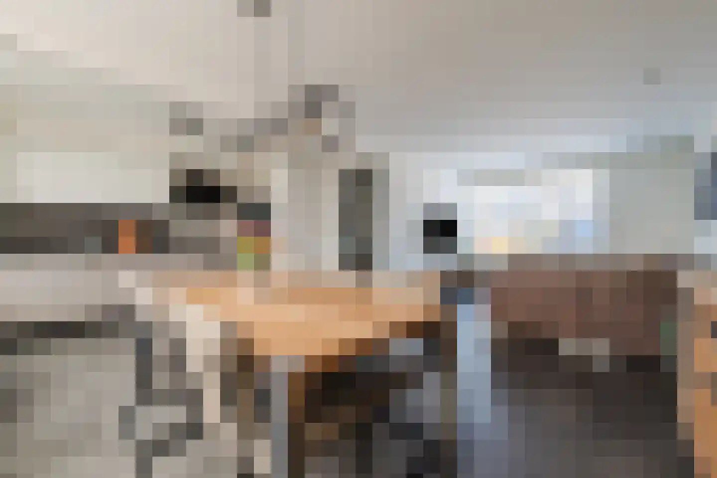 Hagelkruis 20 Bergeijk thumbnail 9