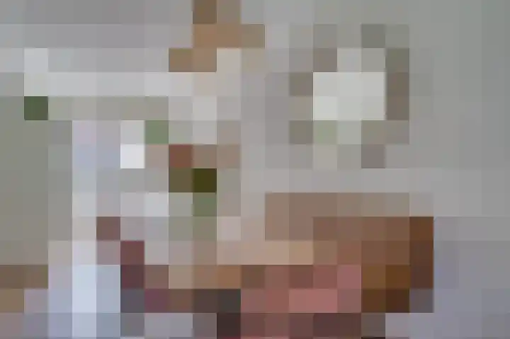 Hagelkruis 20 Venlo thumbnail 13