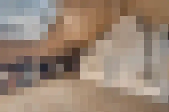 Hagelkruis 20 Venlo thumbnail 30
