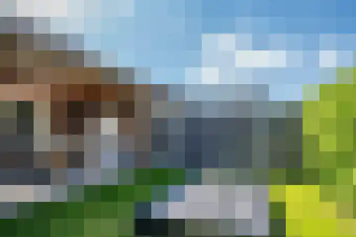 Hagelkruis 20 Venlo thumbnail 43
