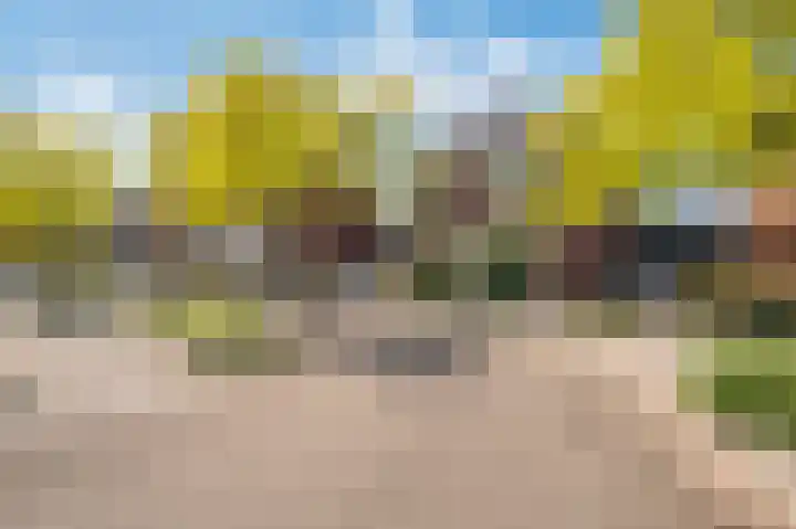 Hagelkruis 20 Venlo thumbnail 45