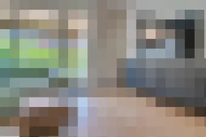 Hagelkruis 20 Venlo thumbnail 8