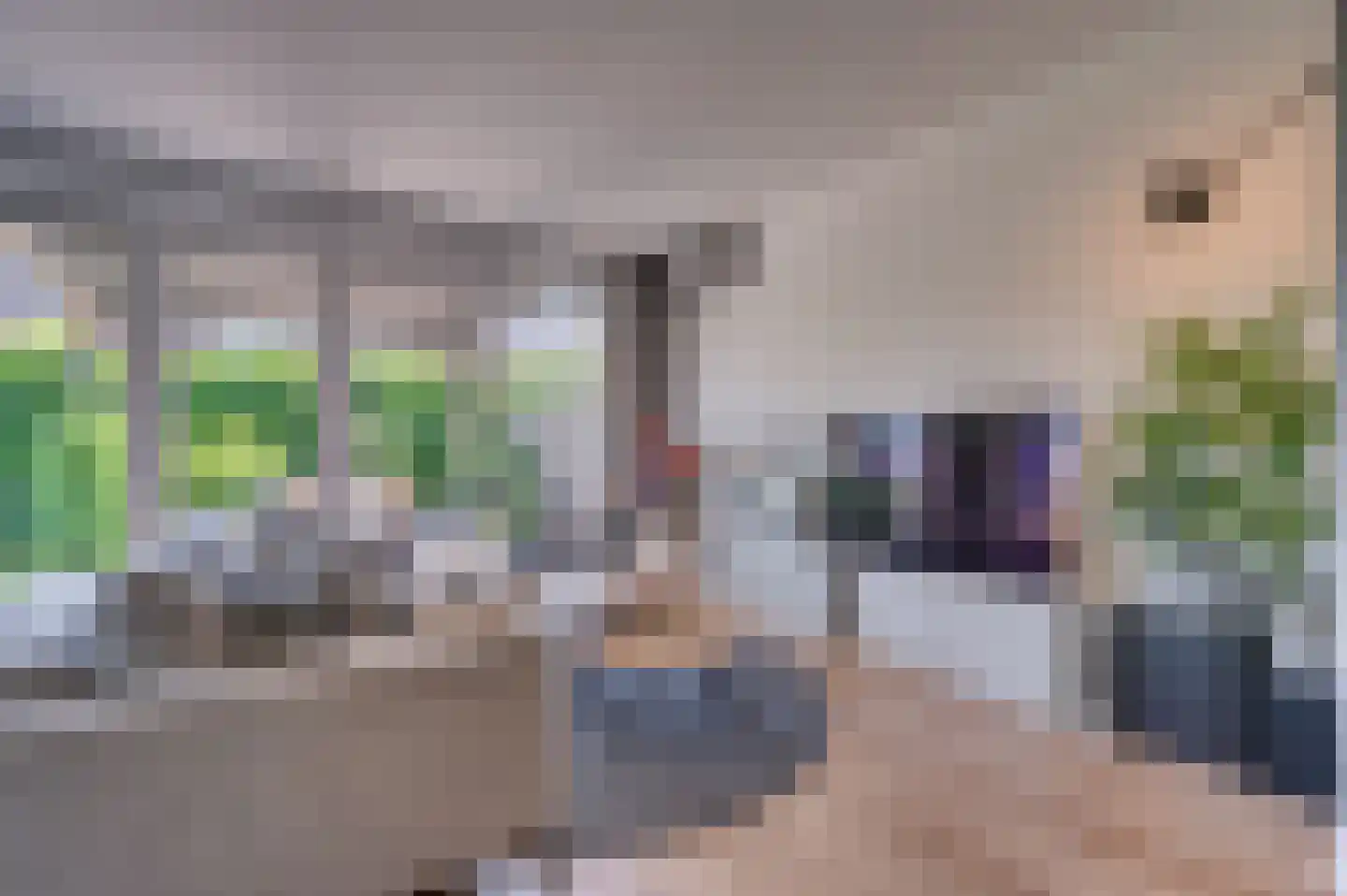 Hagelkruis 22 Venlo thumbnail 12