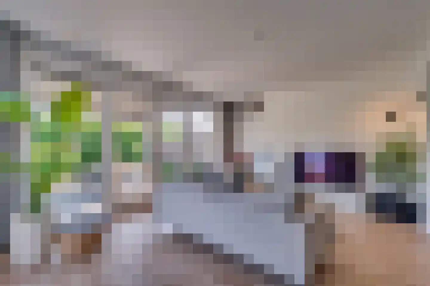 Hagelkruis 22 Venlo thumbnail 15