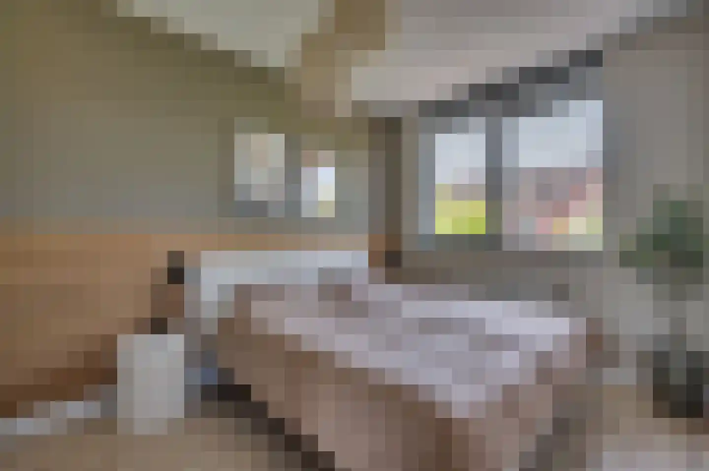 Hagelkruis 22 Venlo thumbnail 29
