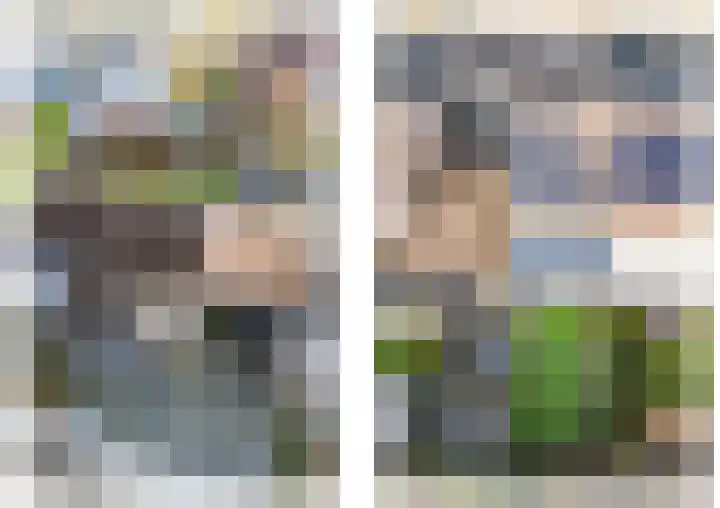 Hagelkruis 3 Horn thumbnail 11