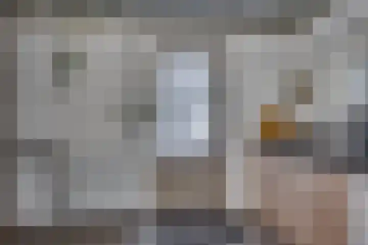 Hagelkruis 3 Horn thumbnail 26