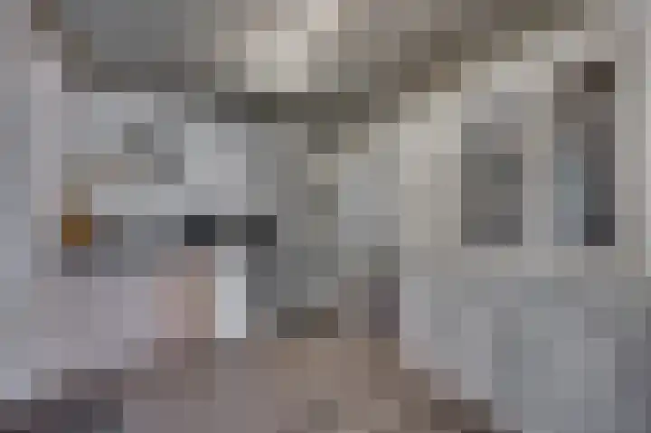 Hagelkruis 3 Horn thumbnail 27