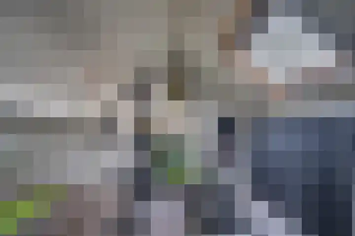 Hagelkruis 3 Horn thumbnail 45