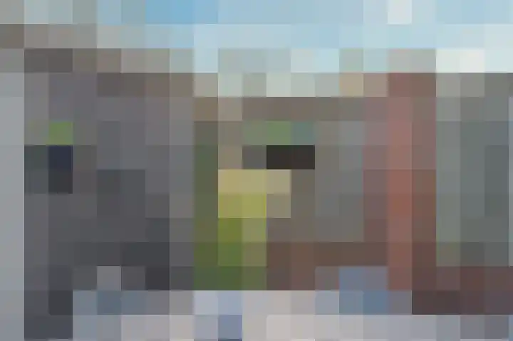Hagelkruis 3 Horn thumbnail 49