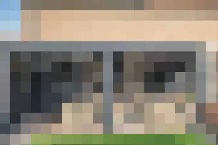 Hagelkruis 3 Horn thumbnail 7