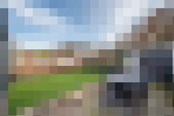 Hagelkruis 3 Horn thumbnail 8