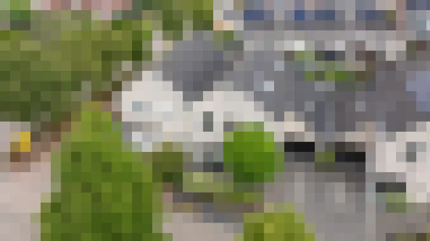 Hagelkruis 3 Kilder thumbnail 55