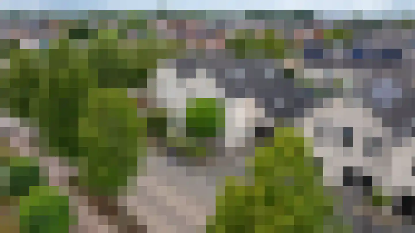 Hagelkruis 3 Kilder thumbnail 56