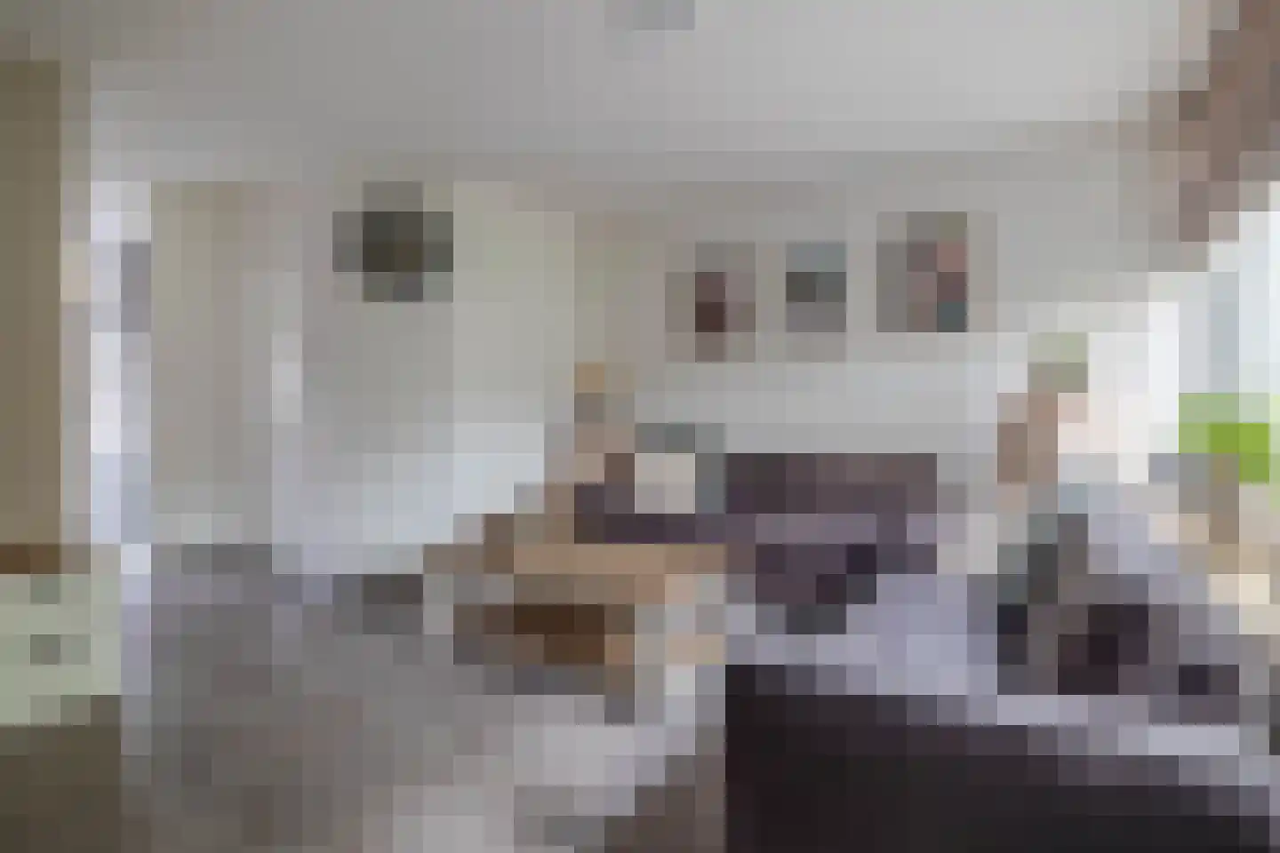 Hagelkruis 36 Oud Gastel thumbnail 17