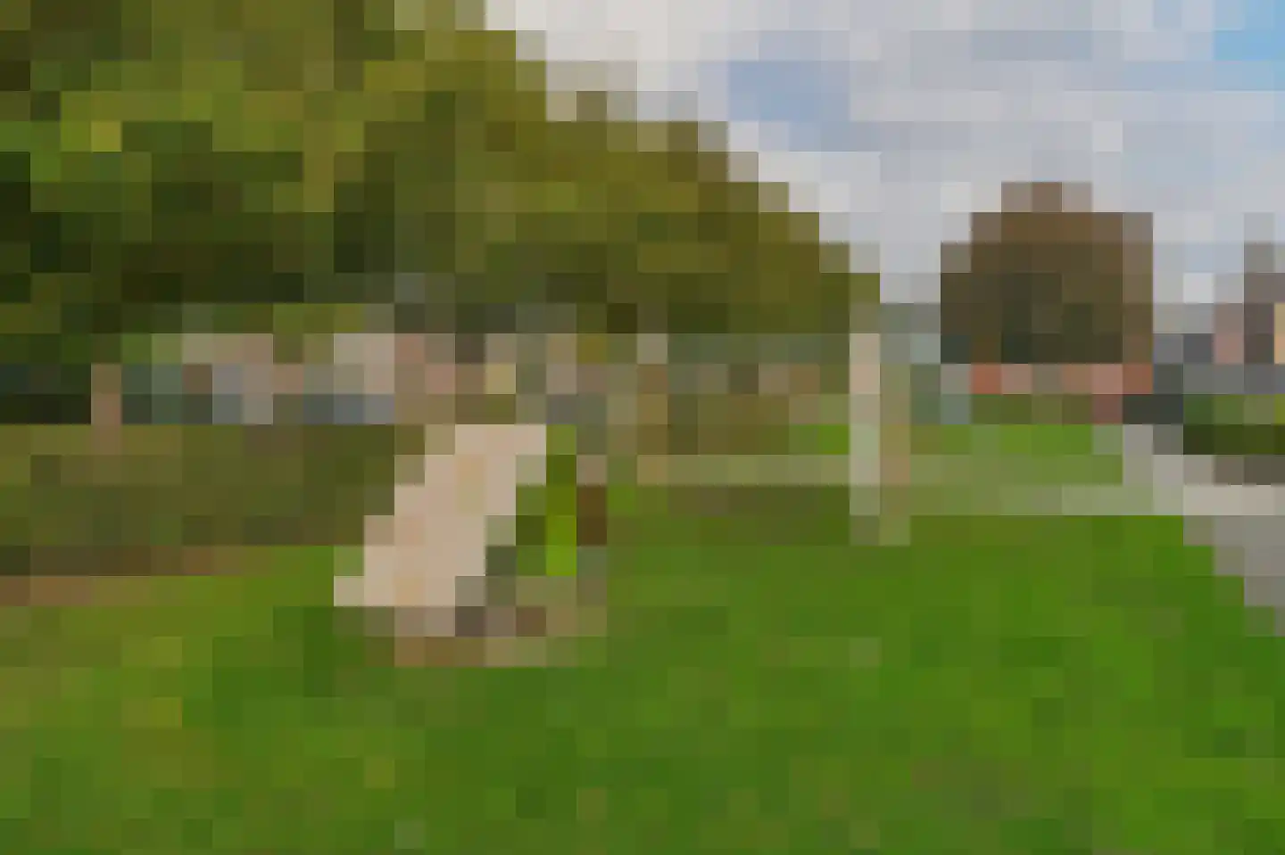 Hagelkruis 36 Oud Gastel thumbnail 48