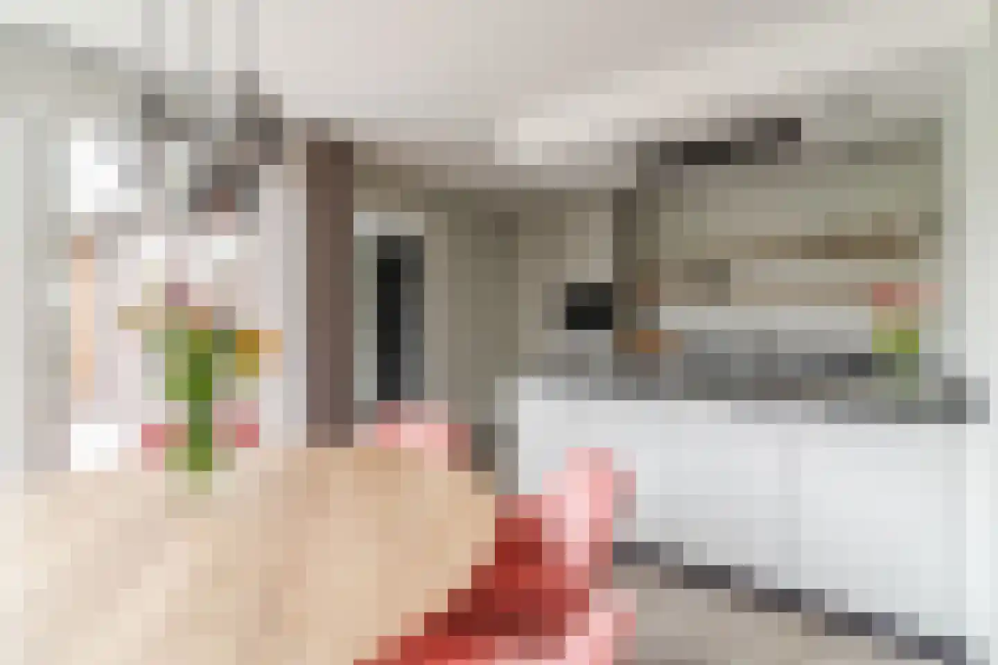 Hagelkruis 39 Bergeijk thumbnail 14