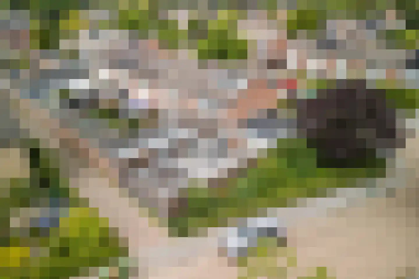 Hagelkruis 39 Bergeijk thumbnail 34