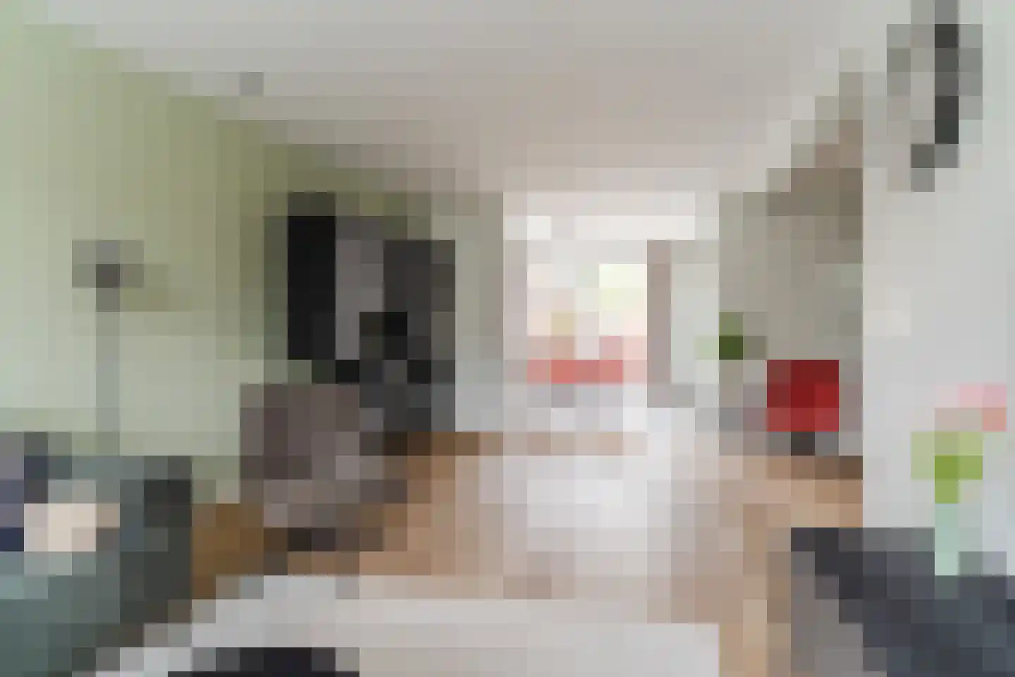 Hagelkruis 39 Bergeijk thumbnail 5