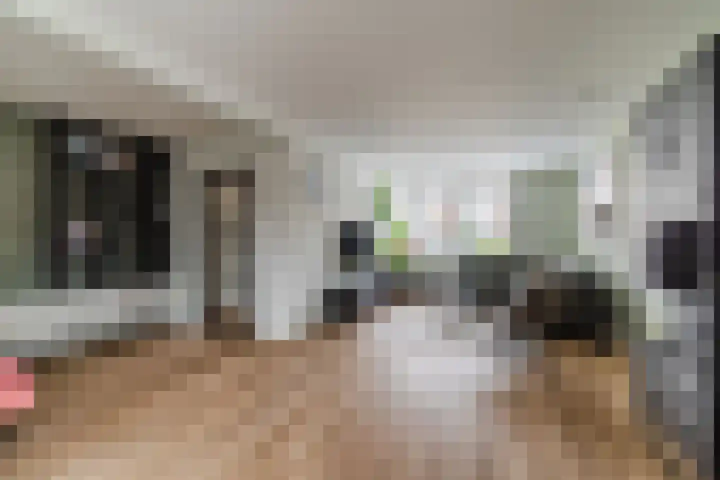 Hagelkruis 39 Bergeijk thumbnail 9