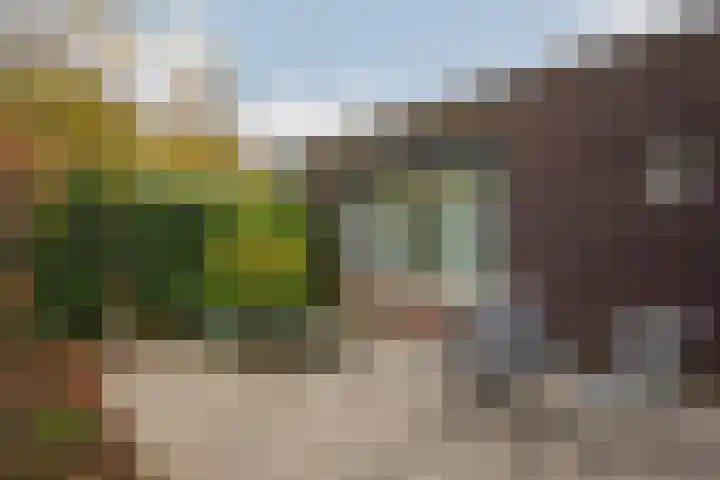 Hagelkruis 42 Venlo thumbnail 36