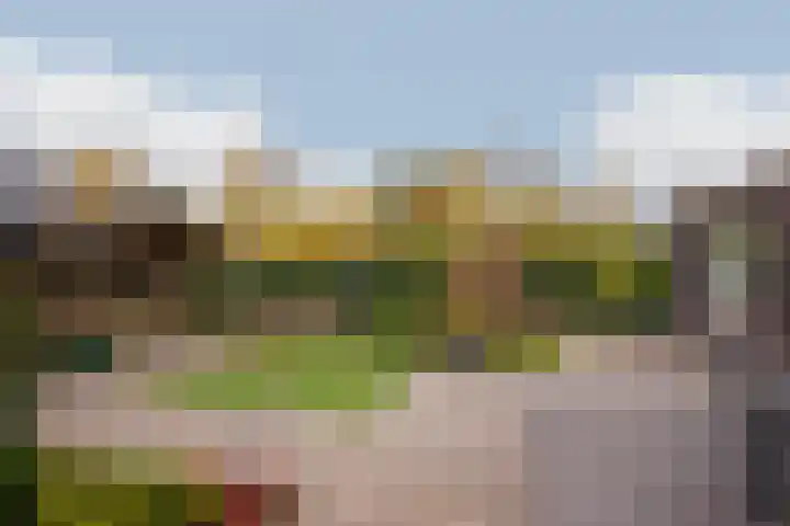 Hagelkruis 42 Venlo thumbnail 37