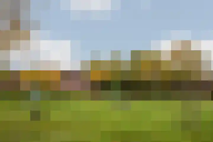 Hagelkruis 42 Venlo thumbnail 39