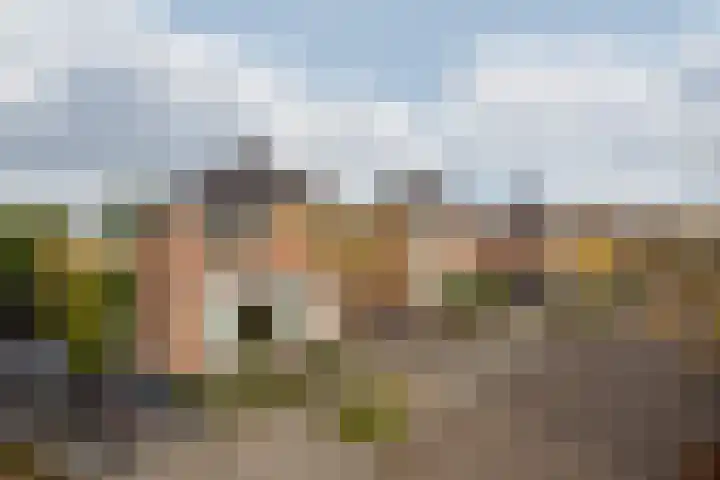 Hagelkruis 42 Venlo thumbnail 43