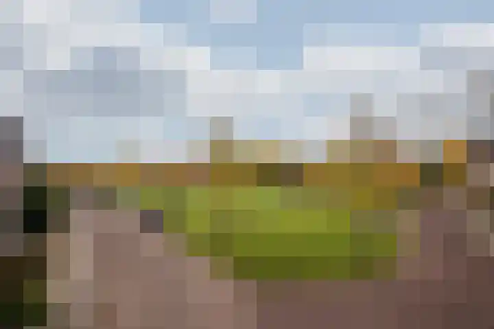 Hagelkruis 42 Venlo thumbnail 5