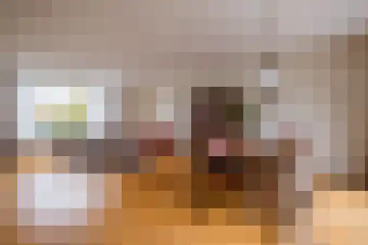 Hagelkruis 42 Venlo thumbnail 7