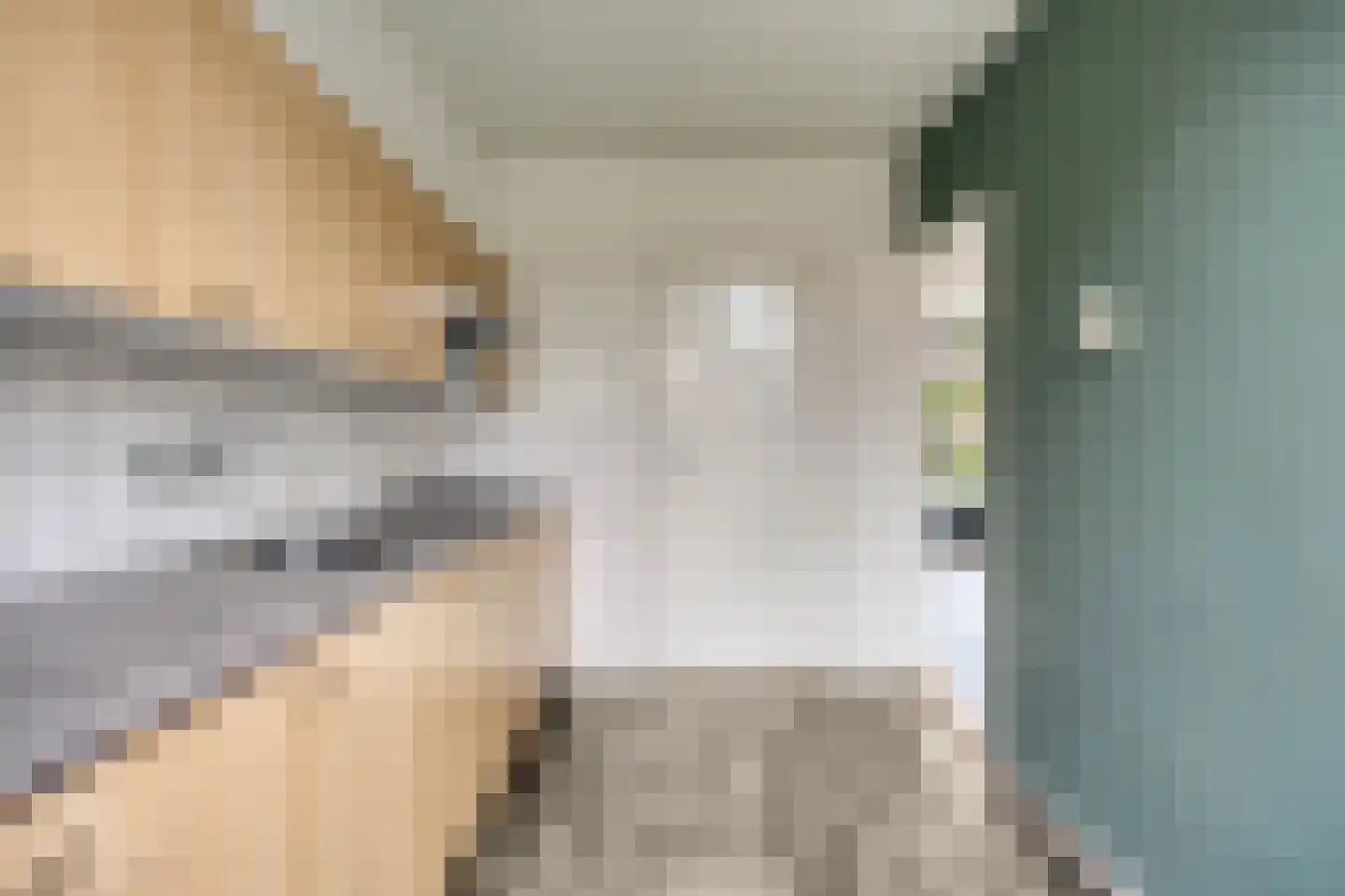 Hagelkruis 44 Bergeijk thumbnail 14