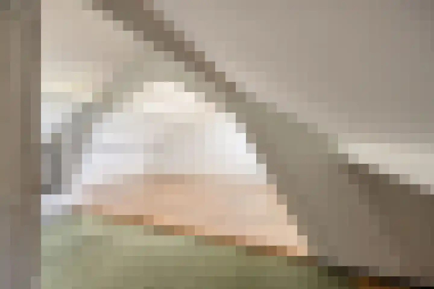 Hagelkruis 44 Bergeijk thumbnail 27