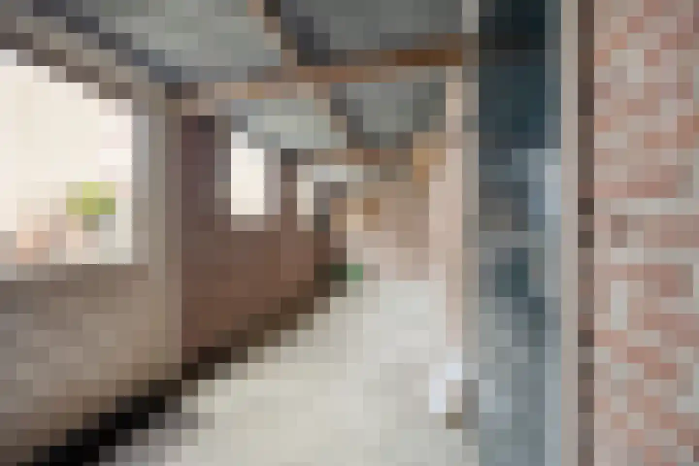 Hagelkruis 44 Bergeijk thumbnail 30