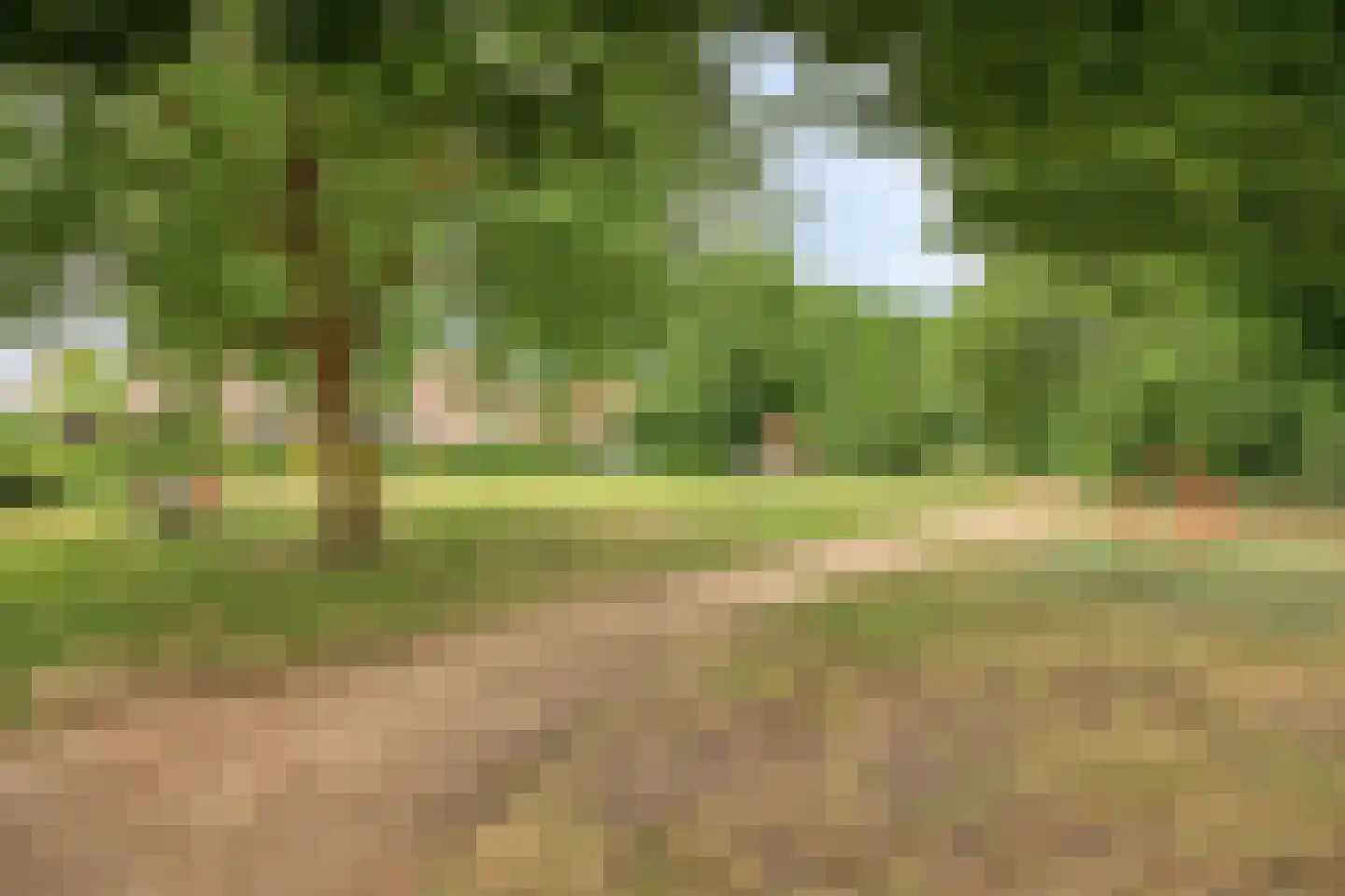 Hagelkruis 44 Bergeijk thumbnail 33