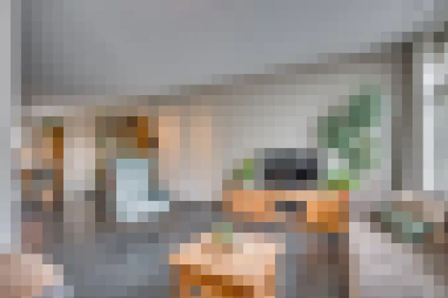 Hagelkruis 46 Venlo thumbnail 7