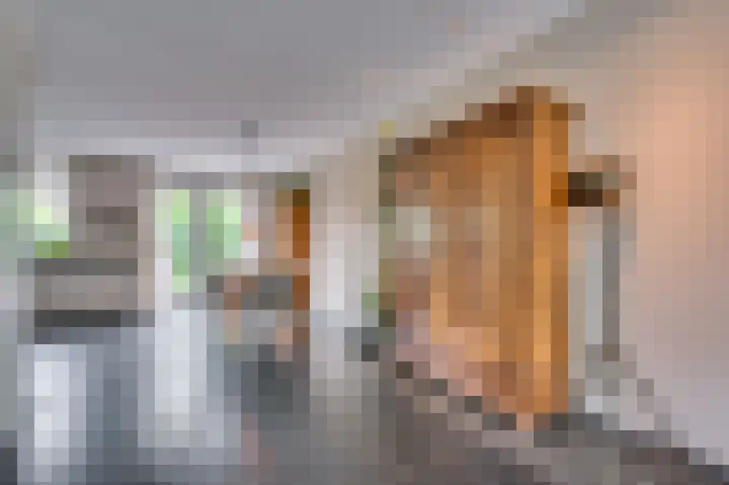 Hagelkruis 46 Venlo thumbnail 8