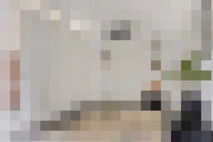 Hagelkruis 50 Horn thumbnail 10