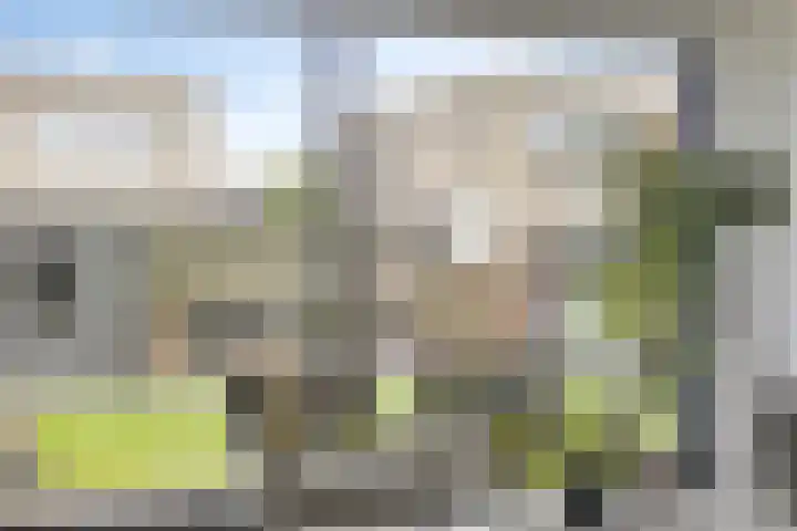 Hagelkruis 50 Horn thumbnail 26