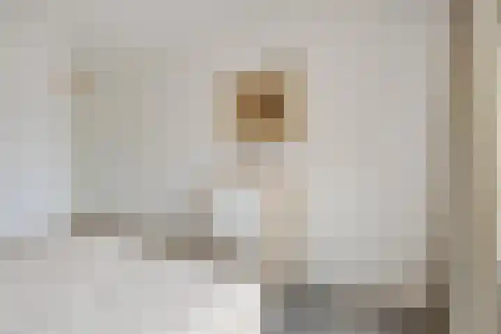 Hagelkruis 50 Horn thumbnail 29