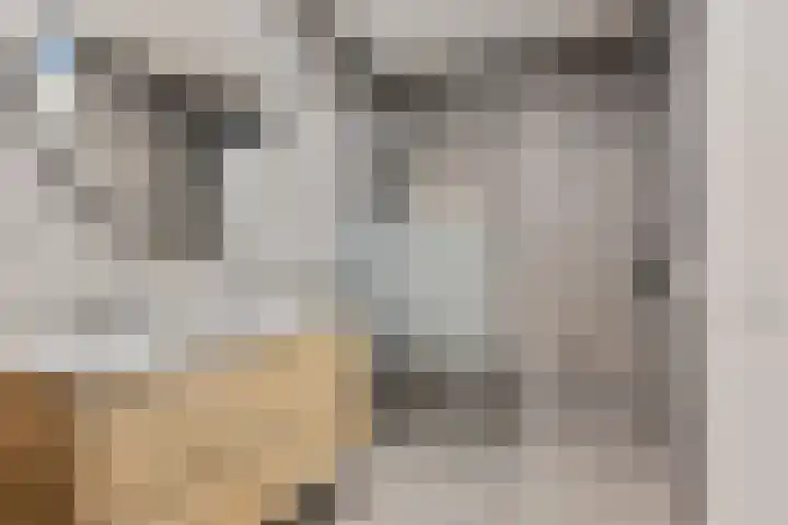Hagelkruis 50 Horn thumbnail 31