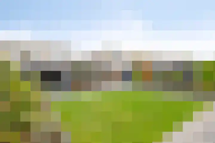 Hagelkruis 50 Horn thumbnail 37