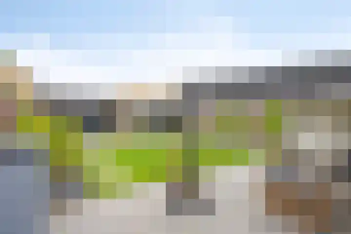 Hagelkruis 50 Horn thumbnail 39