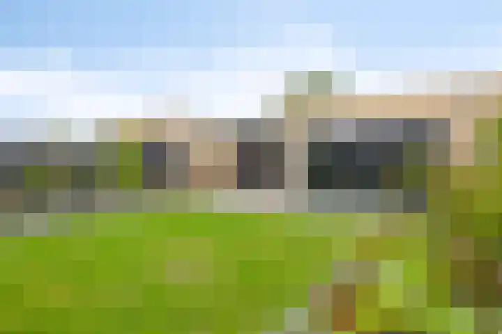 Hagelkruis 50 Horn thumbnail 4