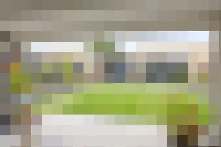Hagelkruis 50 Horn thumbnail 42