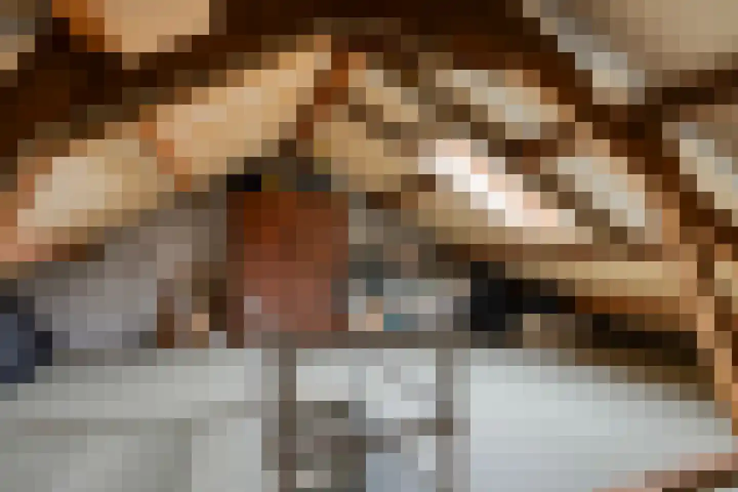 Hagelkruis 58 Bergeijk thumbnail 23