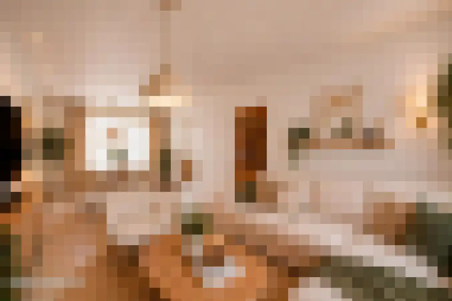 Hagelkruis 58 Bergeijk thumbnail 4