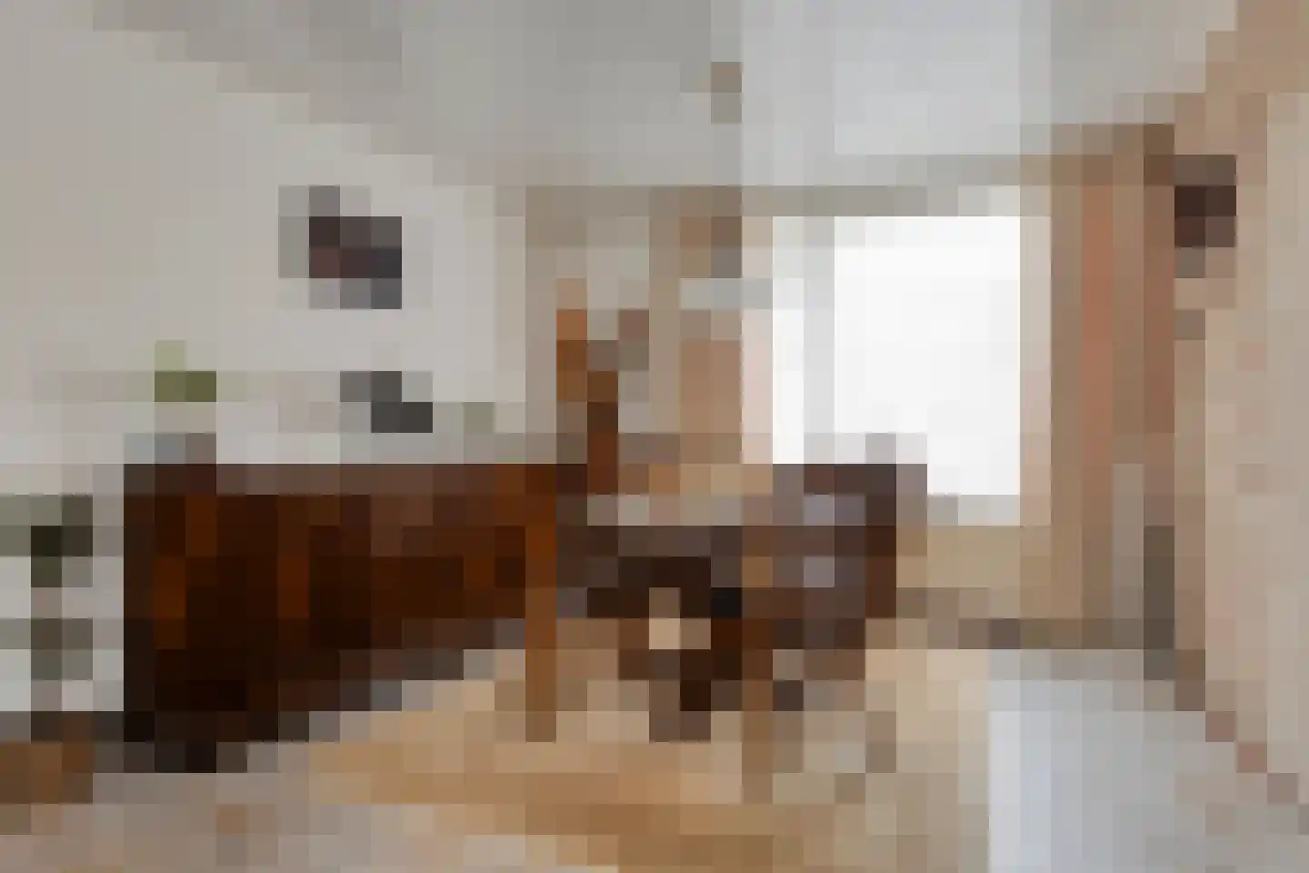 Hagelkruis 58 Bergeijk thumbnail 6