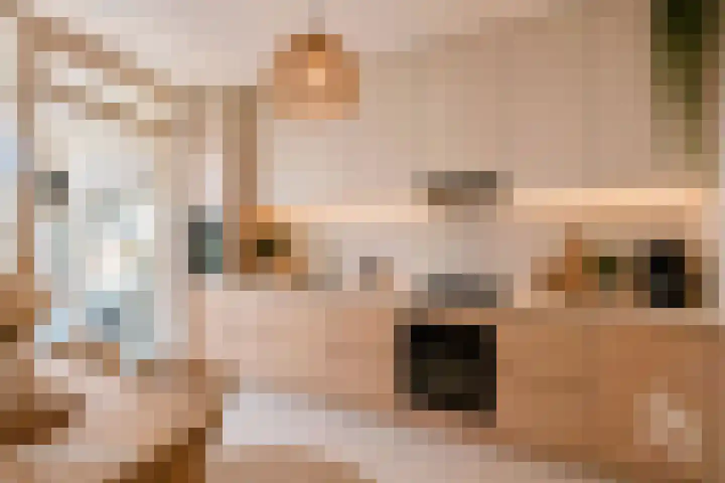 Hagelkruis 58 Bergeijk thumbnail 7