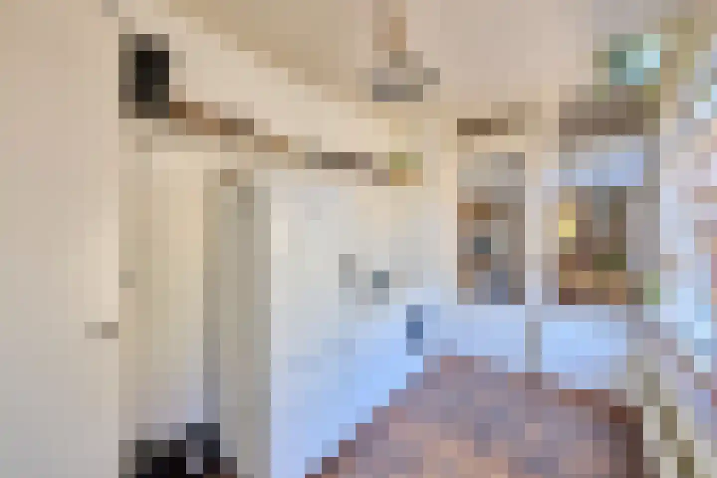 Hagelkruis 58 Bergeijk thumbnail 9