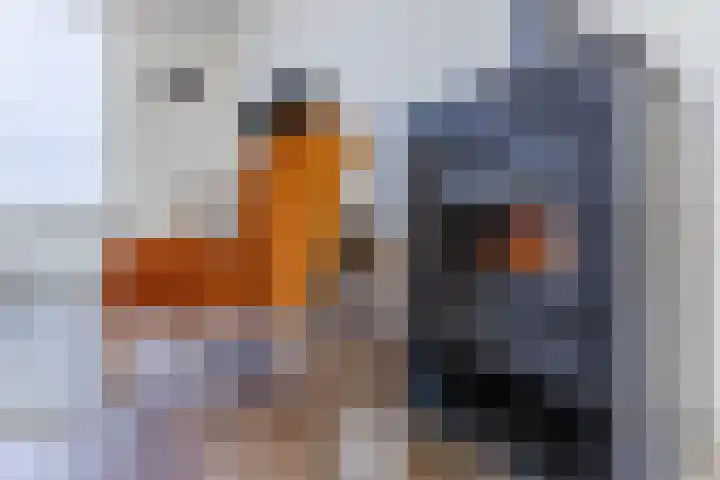 Hagelkruis 6 Bergeijk thumbnail 10